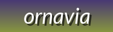 Ornavia | Fashion Accessories for Complete Style Expression